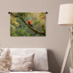Ara - Jungle - Rood Wandkleed katoen klein -sfeer4