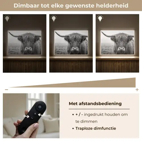 Schotse hooglander - Zwart - Wit - Gras Light Box met batterij (Wandlamp) middel -USP_dimbaarNL