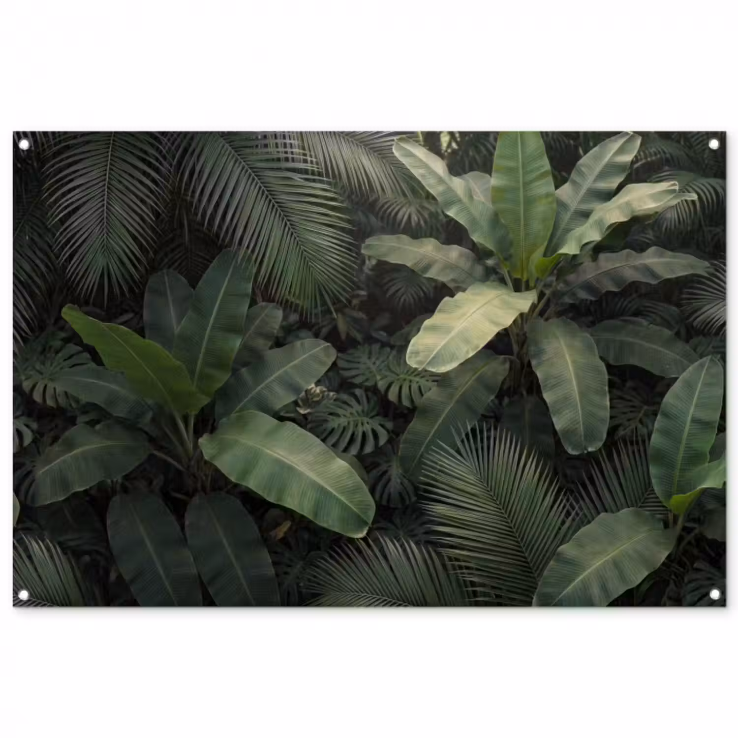 Gartenposter - Blätter – Grün – Tropisch – Natur