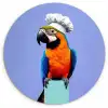 Papegaai - Koksmuts - Vogel - Leuk Wandcirkel plexiglas klein -3d