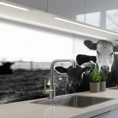 Koeien - Zwart - Wit keuken achterwand 2 middel -3d_schuin