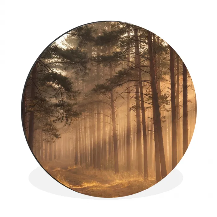 Bos - Mist - Zonlicht Wandcirkel aluminium klein -3d