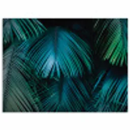 Inductie beschermer - Inductie afdekplaat - Tropical - Jungle - Bladeren - Groen poster papier klein -3d