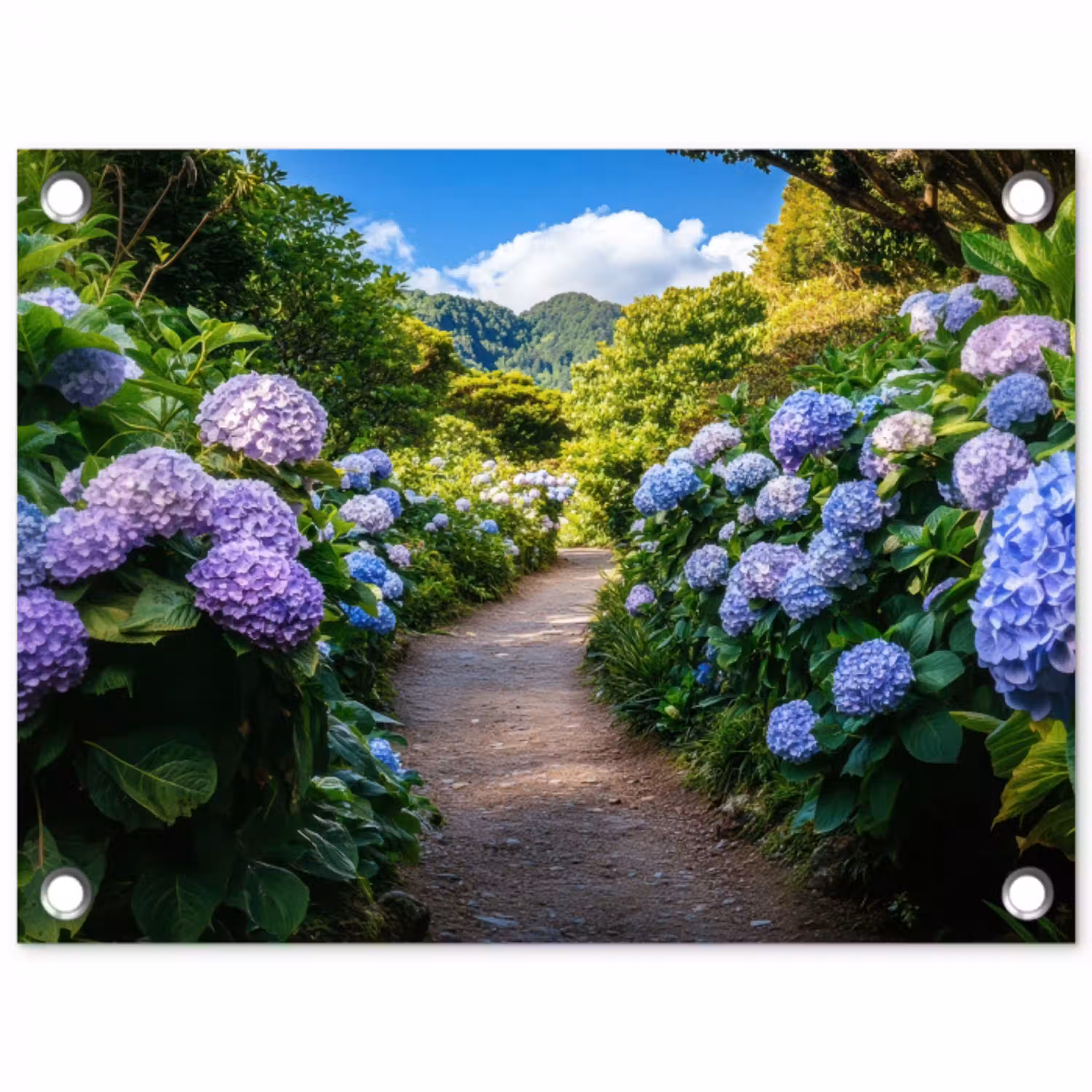 Hortsensia - Pad - Bloemen tuinposter los doek klein -3d