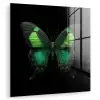 Vlinder - Groen - Opvallend plexiglas 5mm klein -zzzproduct_nieuw