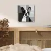 Buldog - Zwart - Abstract - Vlakken plexiglas 5mm klein -sfeer4