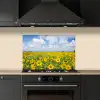 Zonnebloemen - Bloemen - Wolken - Natuur - Geel - Landschap keuken achterwand spatscherm klein -sfeer1