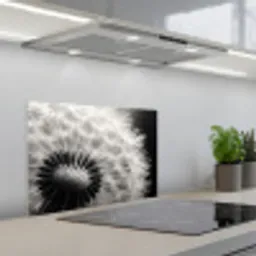 Paardenbloem - Zwart - Wit keuken achterwand spatscherm klein -3d_schuin