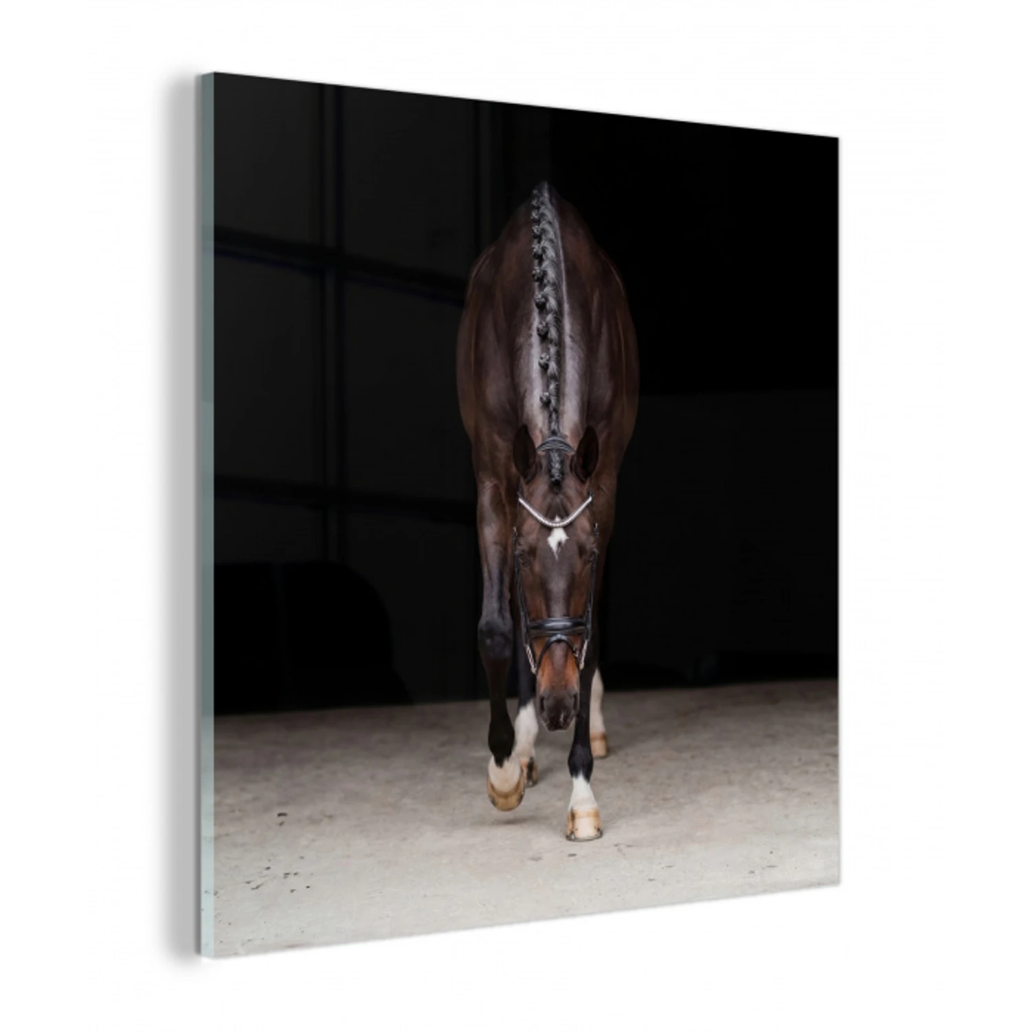 Paard - Modern - Portret plexiglas 5mm klein -z3d