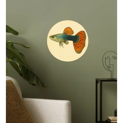 Vis - illustratie - Stippen - Oranje Wandcirkel behangsticker klein -sfeer2