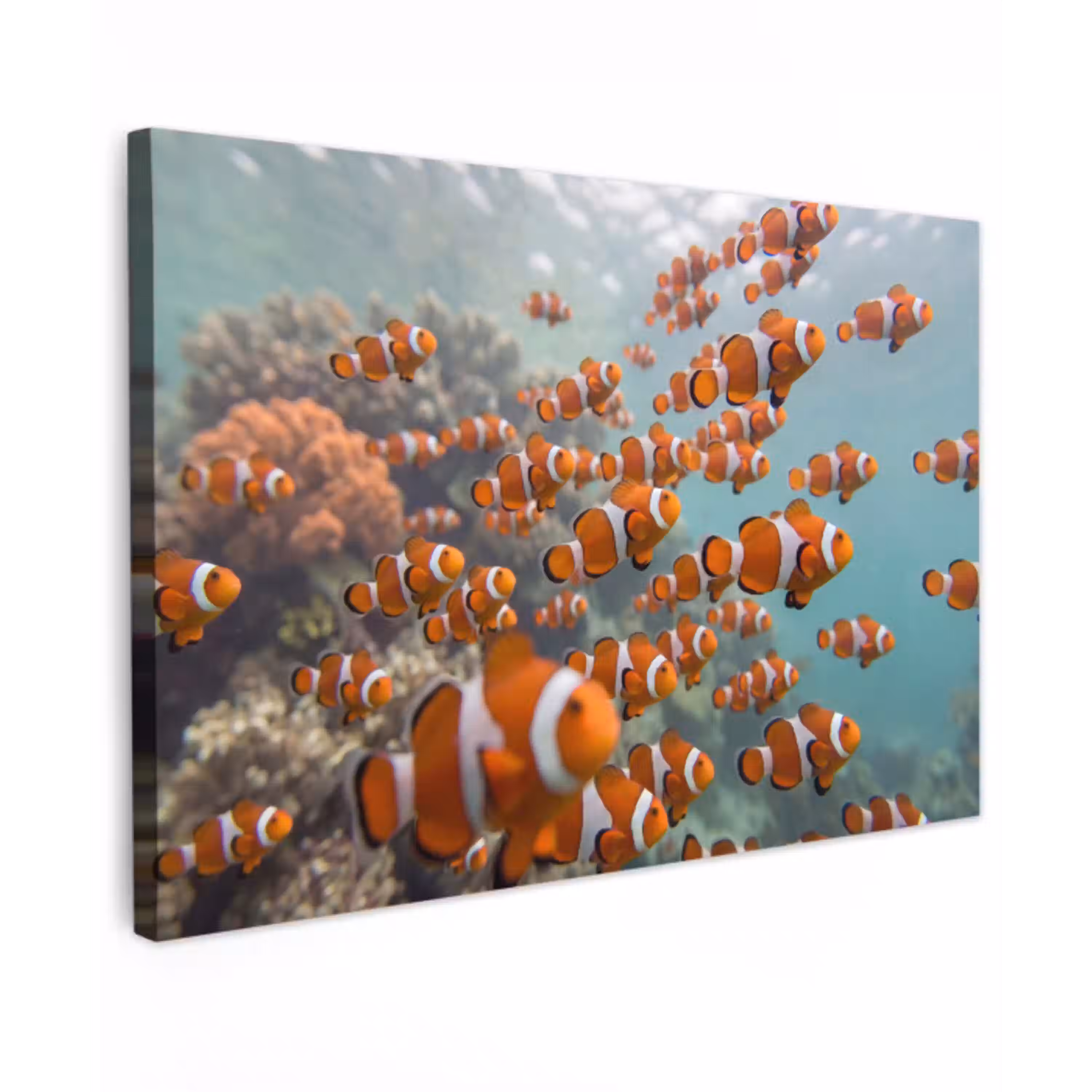 Vis - School - Onderwater - Dieren - Oranje canvas 2cm klein -z3d