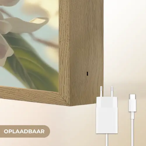 Bloesems - Wit - Zonnestralen -  Bloemblaadjes Light Box met batterij (Wandlamp) middel -USP_websiteoplaadbaarNL