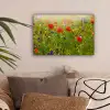 Lente - Bloemen - Rood - Klaproos - Gras - Groen canvas 2cm klein -sfeer1