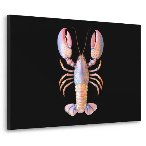 Kreeft - Roze - Zacht - Zwart Textielframe zwart klein -3d