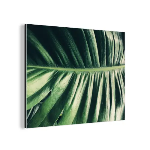 Inductie beschermer - Bananenblad - Tropisch - Jungle - Bladeren aluminium wit klein -3d