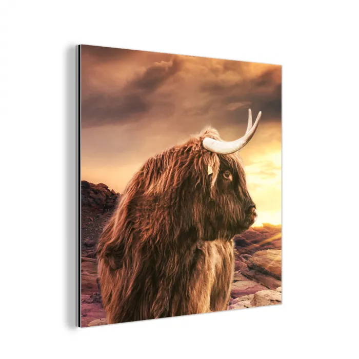 Schotse hooglander - Zon - Horizon - Koe - Dieren aluminium wit klein -3d