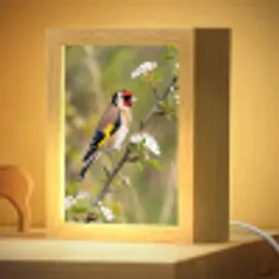 Putter - Bloesem - Lente - Natuur - Kleurrijk Light Box met kabel (Kinderlampje) klein -zzzz_3d_website