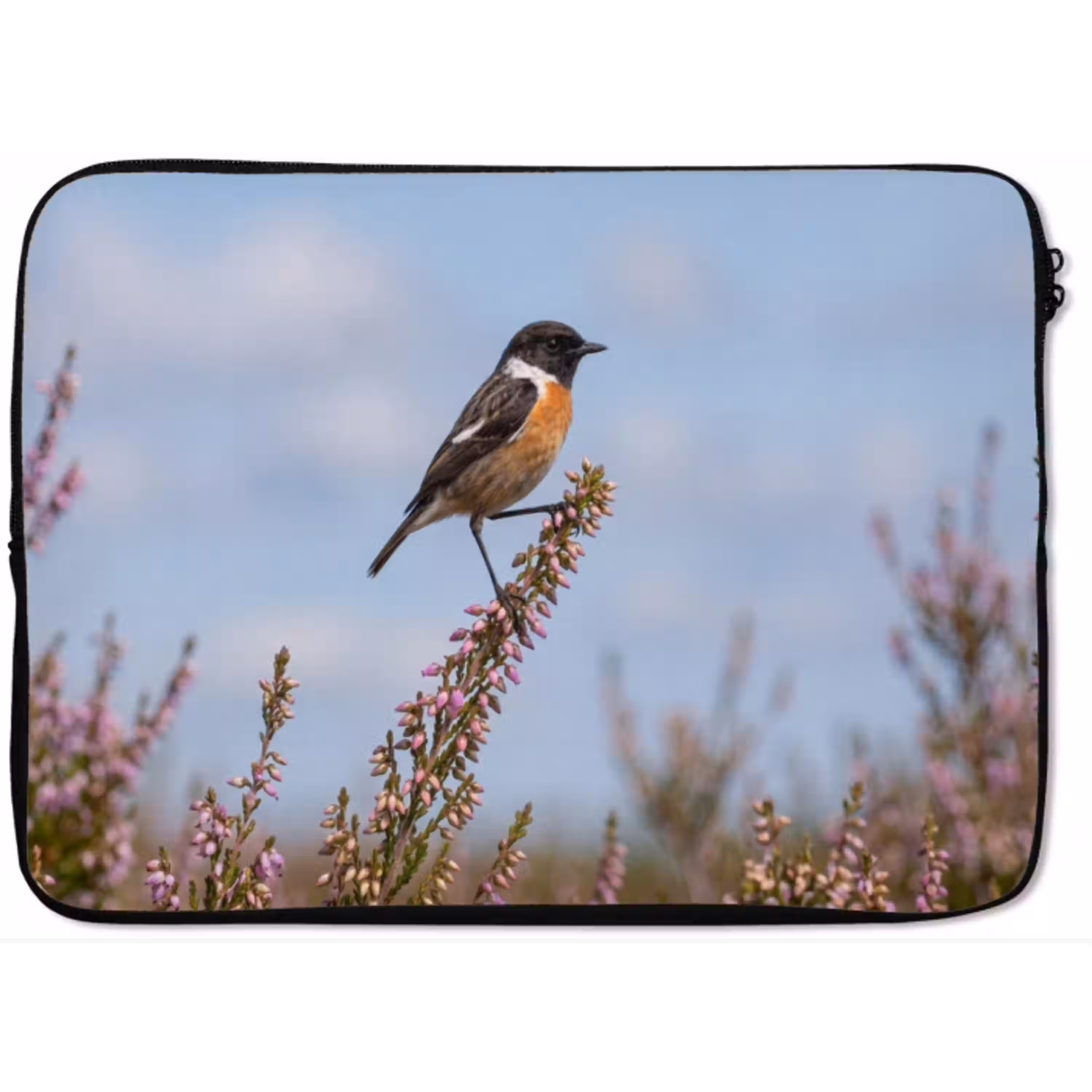 Roodborsttapuit - Heide - Paars - Natuur - Sfeervol laptophoes neopreen klein -zkaufland3dotto