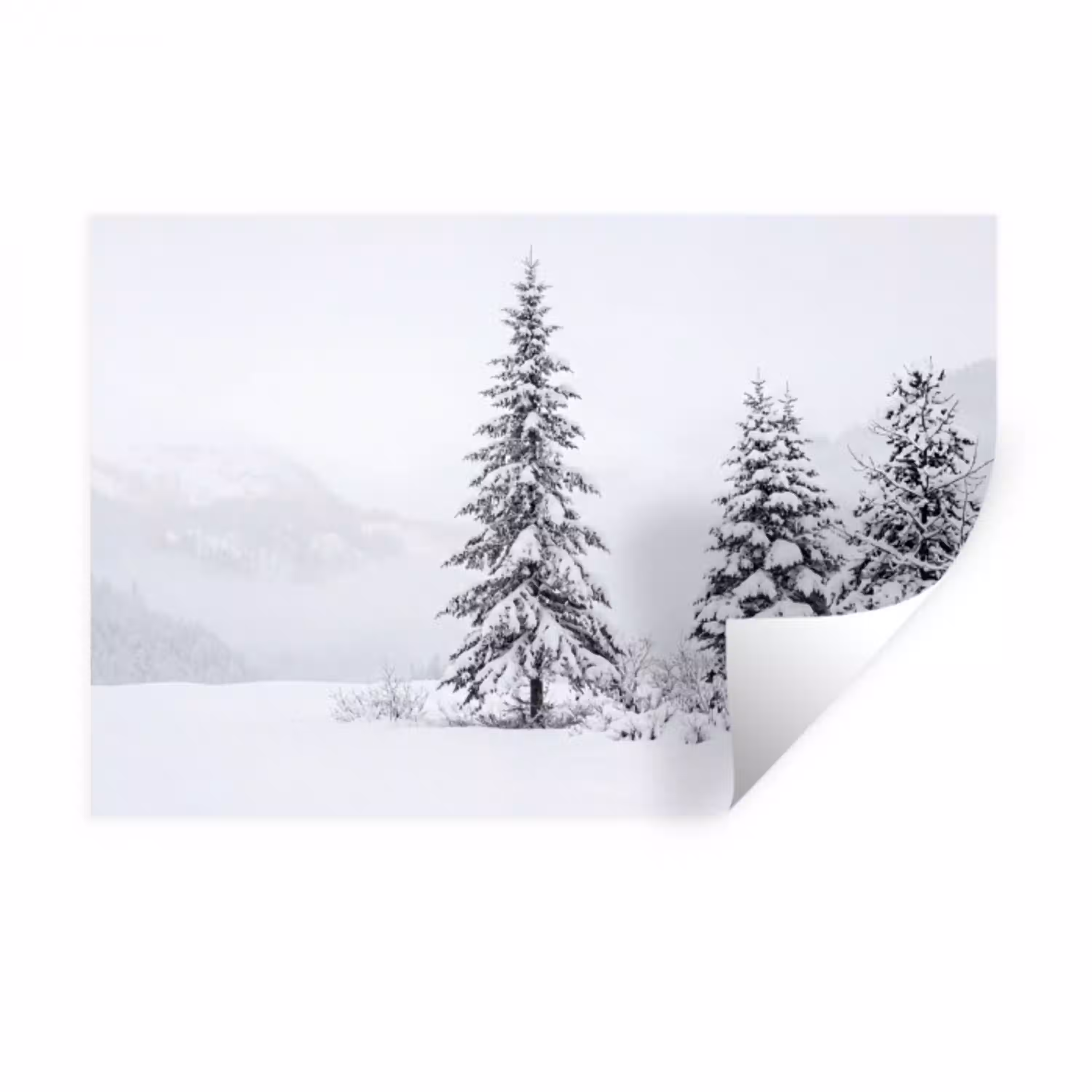 Fijnsparren - Sneeuw - Winter - Landschap - Stilte Muursticker klein -3d