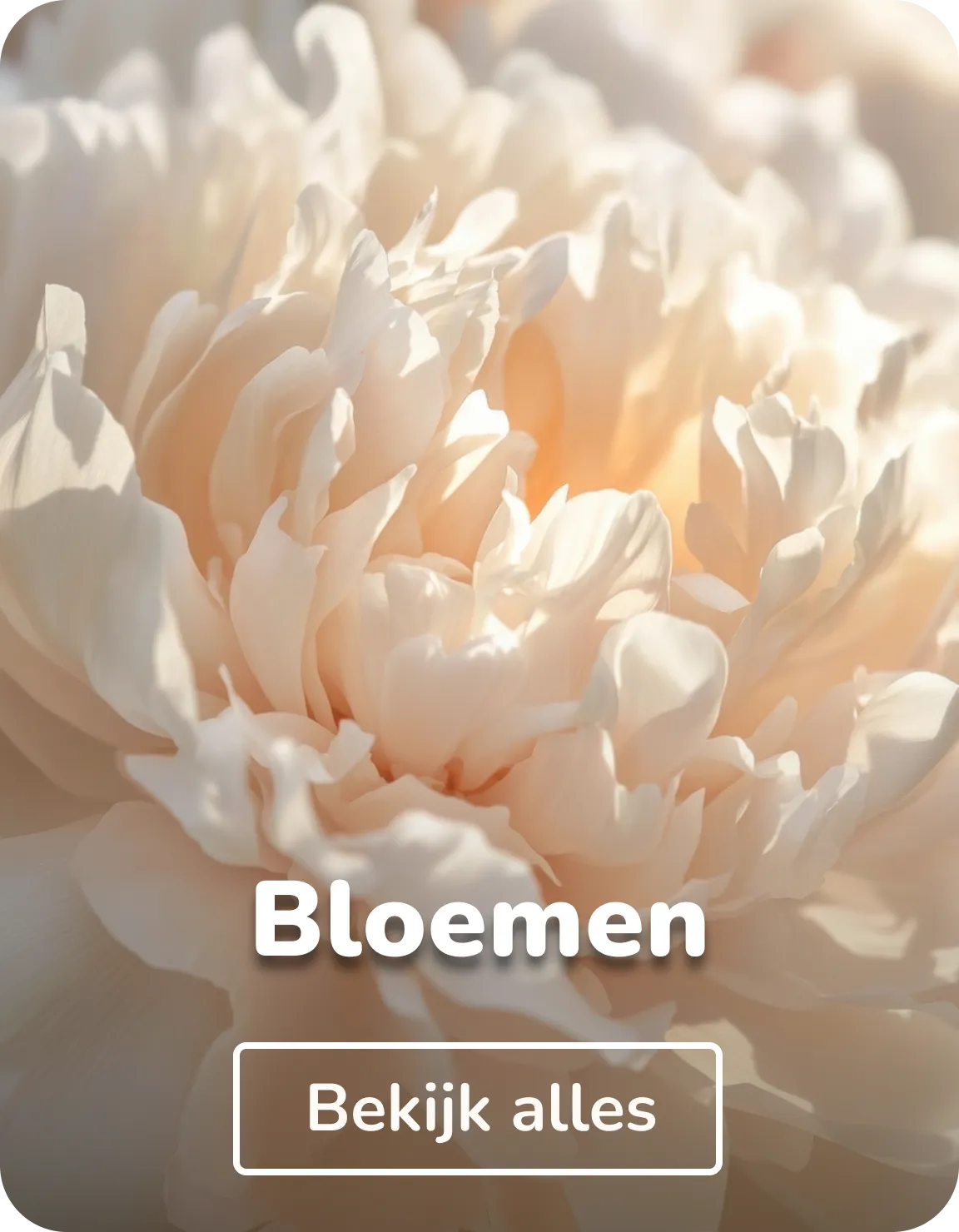 Wandkleed bloemen