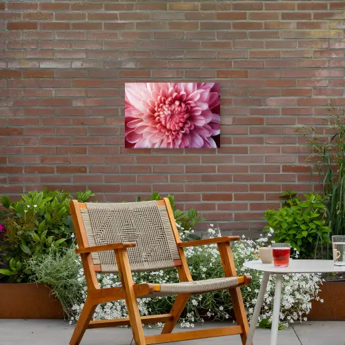 Dahlia - Bloem - Close up - Roze Tuinposter op houten frame 2 cm dik klein -sfeer3