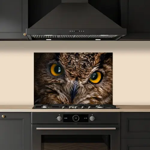 Uil - Dier - Oranje keuken achterwand spatscherm klein -sfeer1