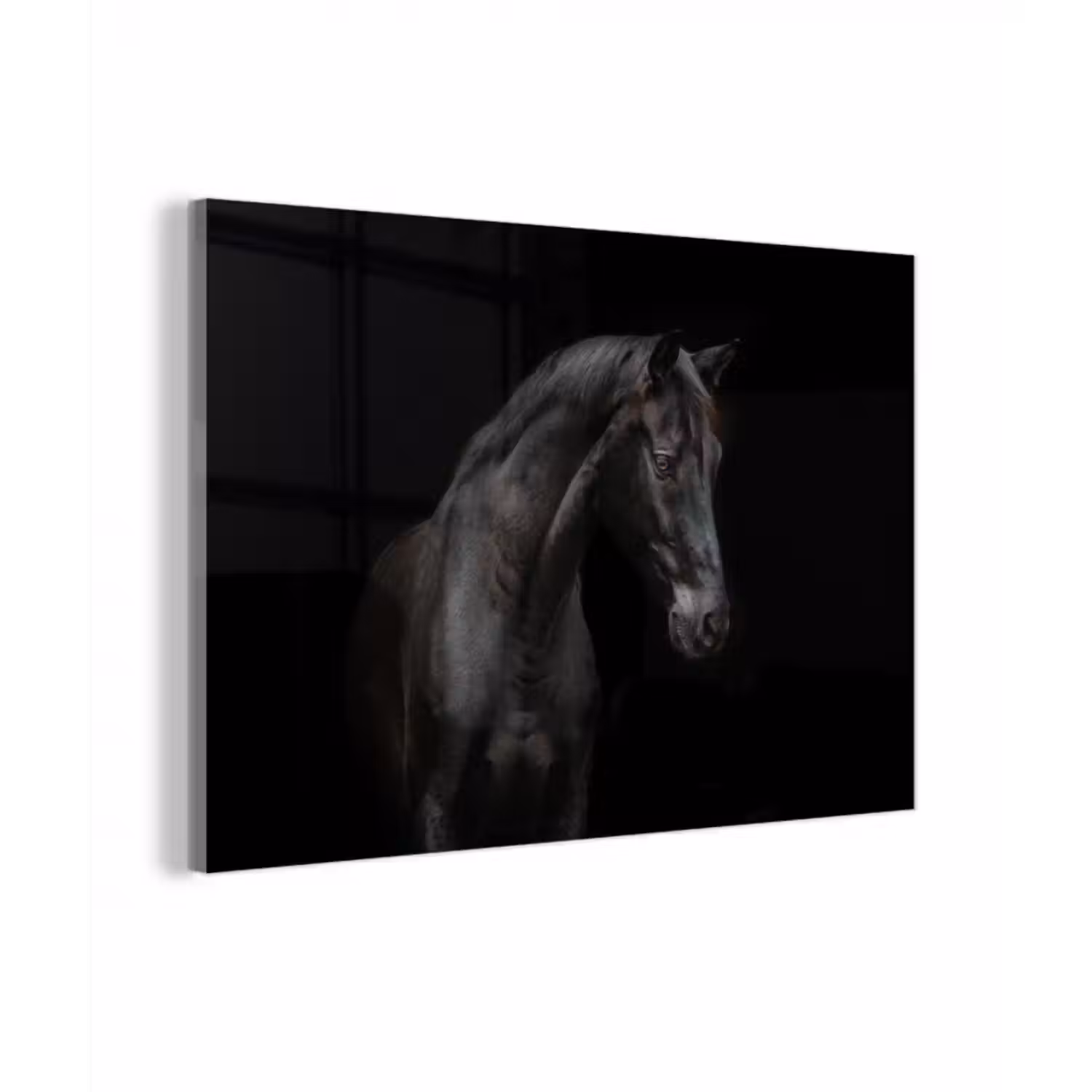 Glasbild - Pferd - Tiere - Schwarz - Porträt