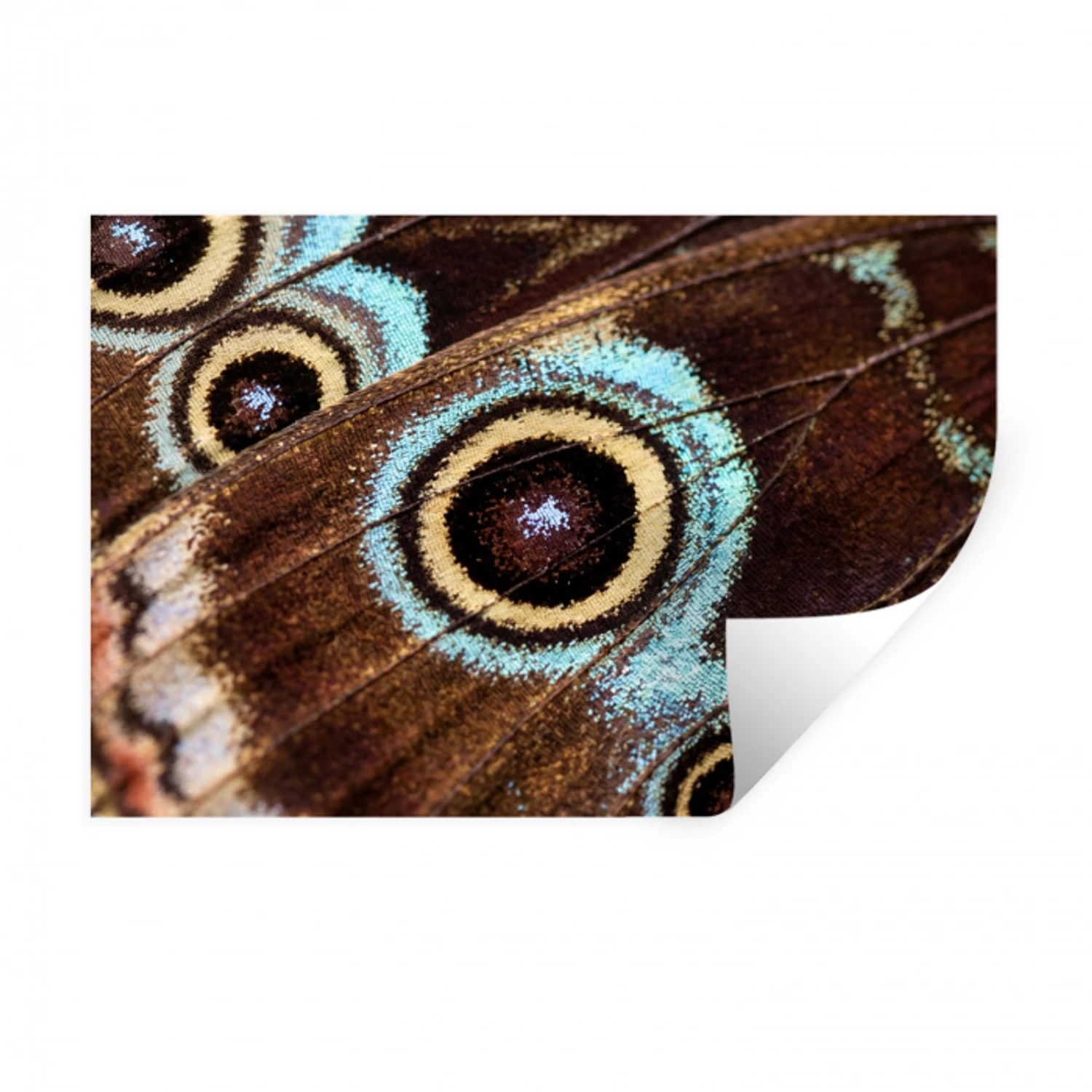 Vleugels - Vlinder - Blauw Muursticker klein -3d