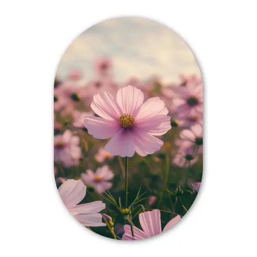 Bloemen - Paars - Wazig Wandcirkel Ovaal Forex klein -3d