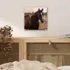 Paard - Zonsondergang - Bruin plexiglas 5mm klein -sfeer4