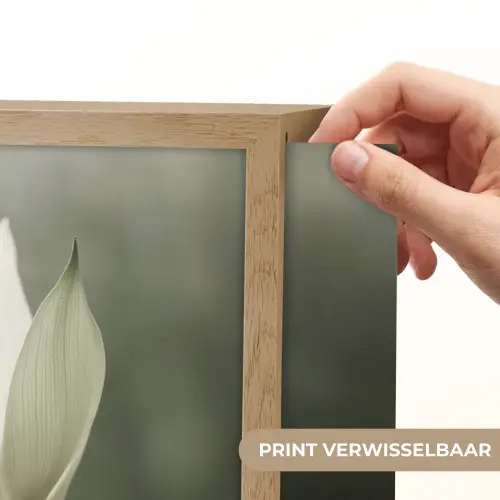 Wit - Lotus - Donker - Bloem Light Box met batterij (Wandlamp) middel -USP_websiteprintNL