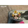 Vrouw - Kat - Bloemen - Kopje - Retro Placemat vinyl groot -closeup