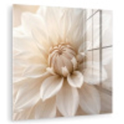 Bloem - Dahlia - Wit plexiglas 5mm klein -zzzproduct_nieuw