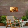 Leeuwenpaar bij zonsondergang Tuinposter op houten frame 2 cm dik klein -sfeer3