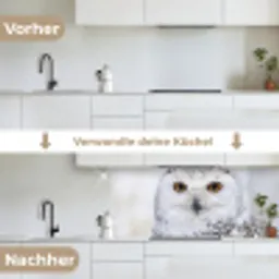 Sneeuwuil - Oog - Wildlife - Wit keuken achterwand 2 middel -voor-na_DE
