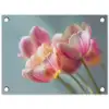 Tulpen - Roze - Stelen tuinposter los doek klein -3d