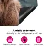 Heerser van het Hoogland Inductie beschermer vinyl 3mm klein -wsfeer4_website
