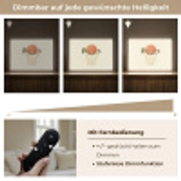 Basketbal - Net - Oranje Light Box met batterij (Wandlamp) middel -USP_dimbaarDE
