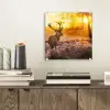 Hert - Dieren - Zonsondergang - Winter - Heide - Natuur plexiglas 5mm klein -sfeer1