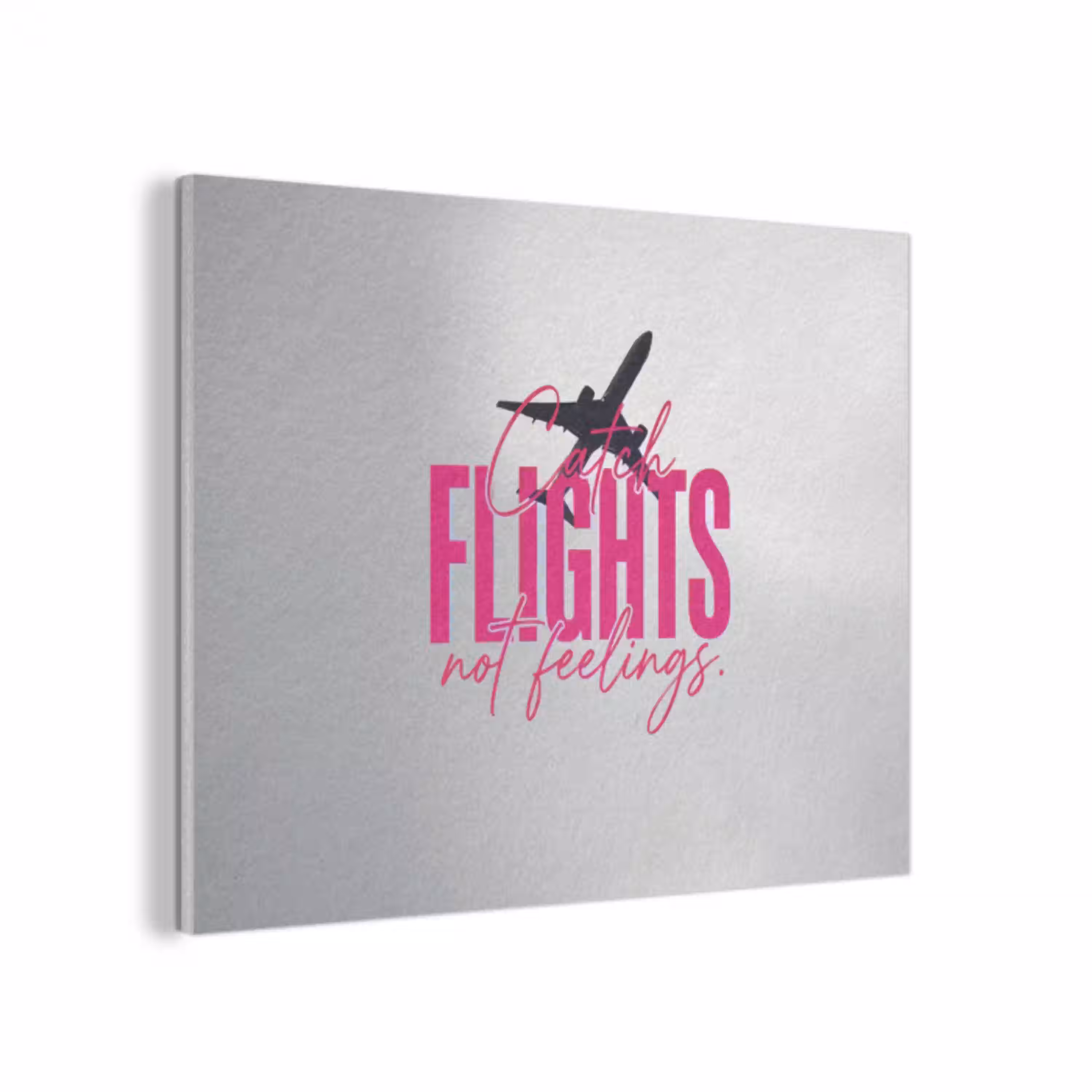 Catch flights not feelings - Vliegtuig - Roze PET vilt klein -3d