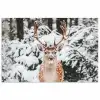 Hert - Sneeuw - Winter - Bos - Dieren poster papier klein -3d