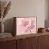 Bloem - Pioenroos - Roze Light Box met batterij (Wandlamp) middel -sfeer2