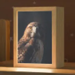 Roofvogel - Buizerd - Bruin Light Box met kabel (Kinderlampje) klein -zzz_3d_website