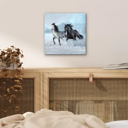 Paarden - Winter - Dieren - Natuur - Sneeuw aluminium wit klein -sfeer3