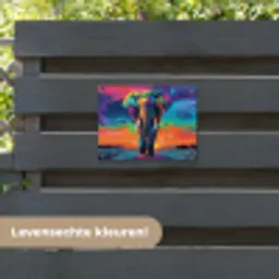 Olifant - Kleurrijk - Lucht - Abstract tuinposter los doek klein -sfeer3