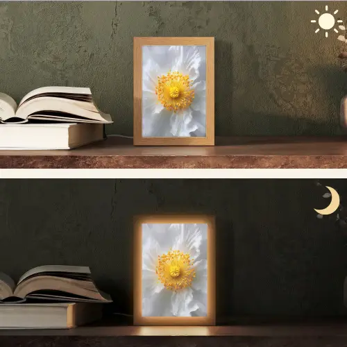 Wit - Bloem - Elegant Light Box met kabel (Tafellamp) klein -sfeer3