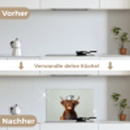 Schotse Hooglander - Bruin - Hoorns - Kokskleding keuken achterwand spatscherm klein -voor_na_DE