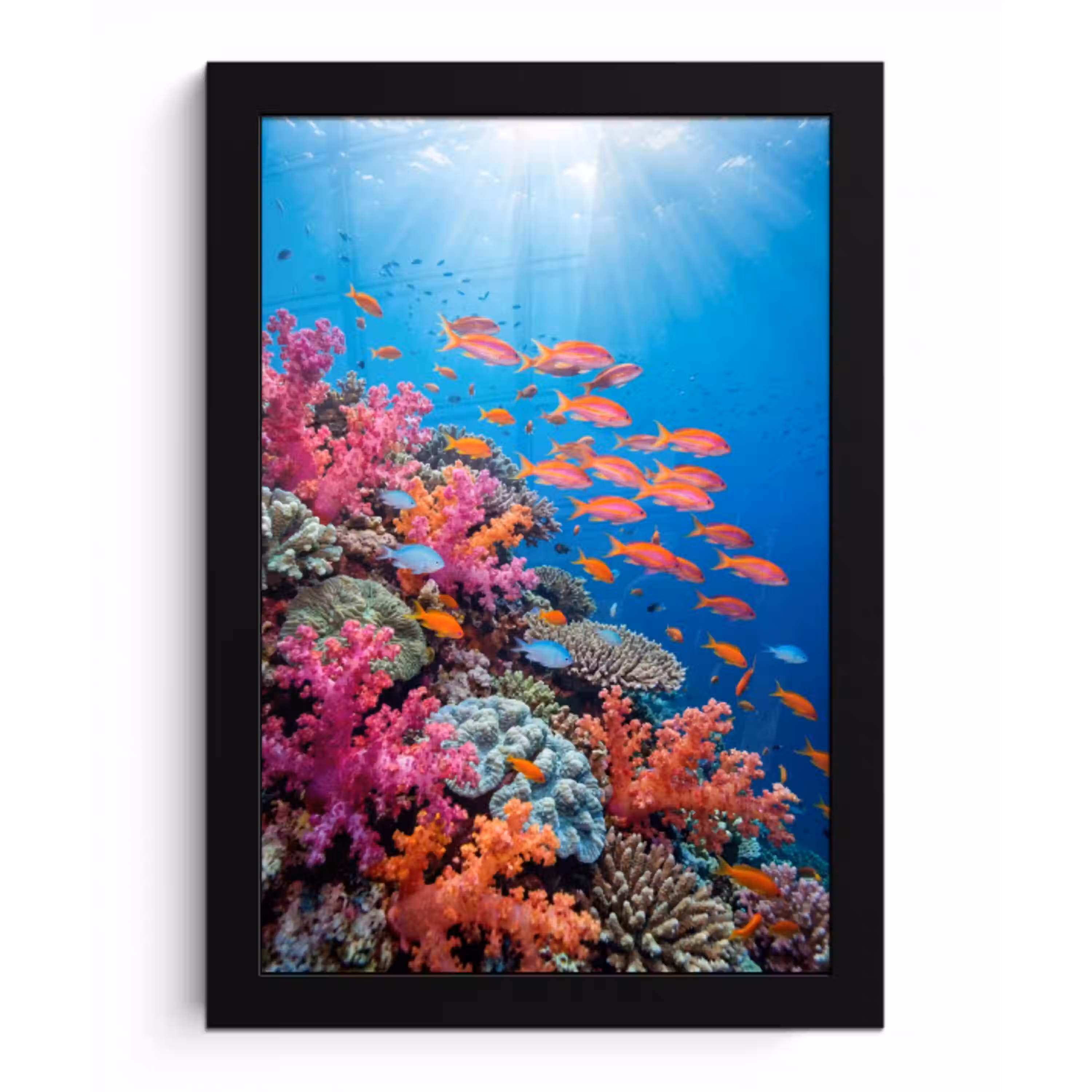 Onderwater - Koraalrif - Vissen - Oceaan - Natuur fotolijst zwart zonder passe partout klein -3d