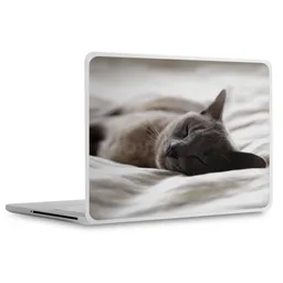 laptopsticker-product.png