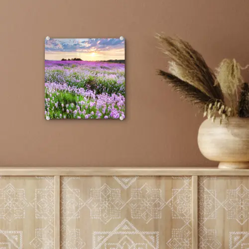 Lavendel - Bloemen - Zonsondergang - Paars - Weide plexiglas 5mm klein -sfeer5